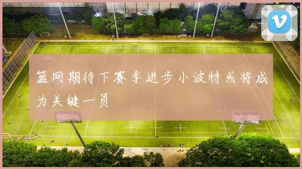 篮网期待下赛季进步小波特或将成为关键一员